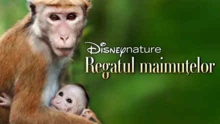 thumbnail - Regatul maimuţelor