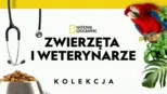 thumbnail - Zwierzęta i weterynarze