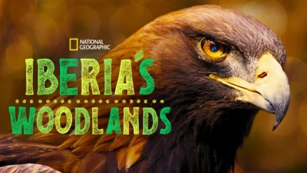 thumbnail - Iberia's Woodlands