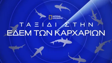 thumbnail - Ταξίδι στην Εδέμ των Καρχαριών