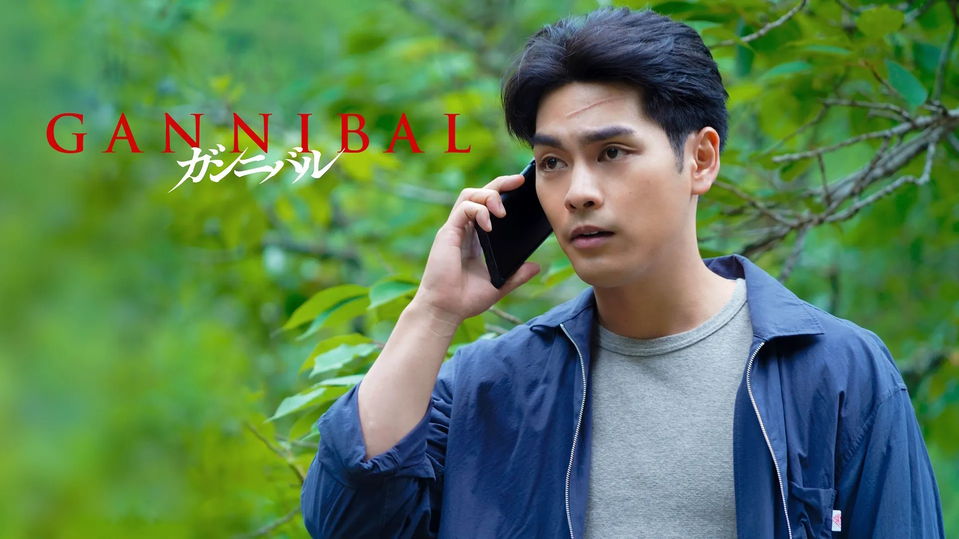 A person with a blurred face stands outdoors in a lush green setting, holding a phone to their ear. They are dressed in a gray shirt and blue jacket.