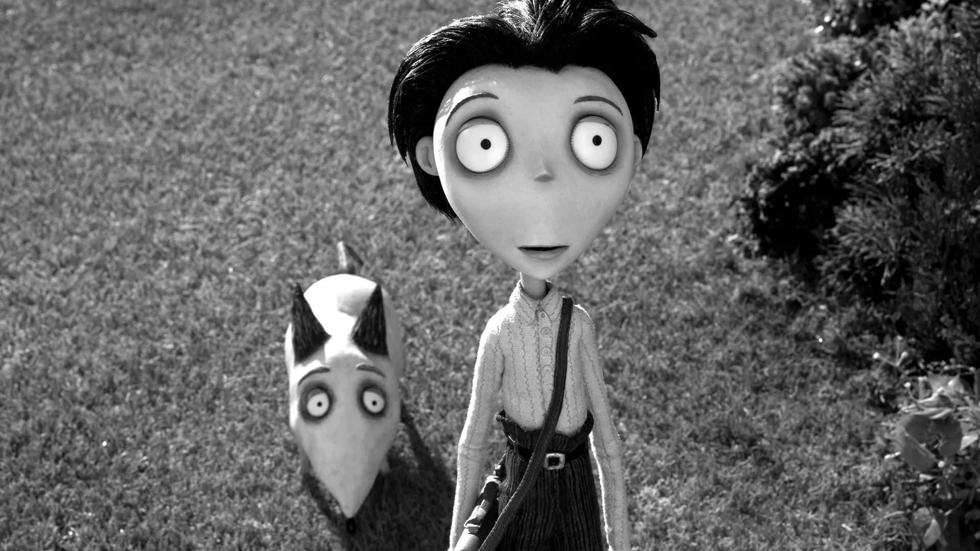 Victor Frankenstein and Sparky in Frankenweenie, Disney