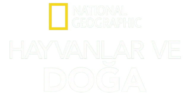 National Geographic Hayvanlar ve Doğa