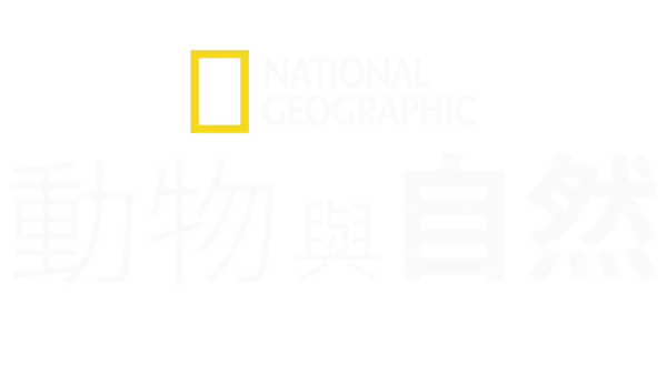 國家地理動物與自然