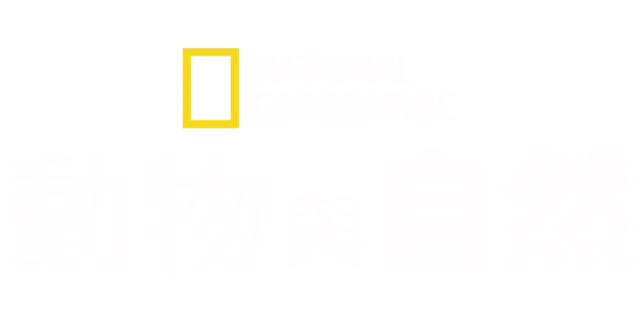 國家地理動物與自然