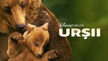 thumbnail - Urșii