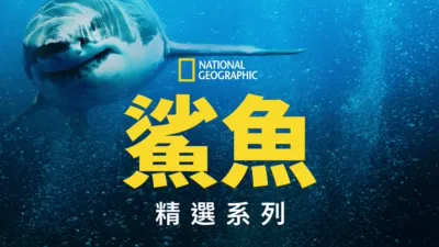 thumbnail - 國家地理鯊魚