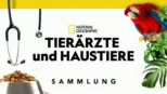 thumbnail - Tierärzte und Haustiere