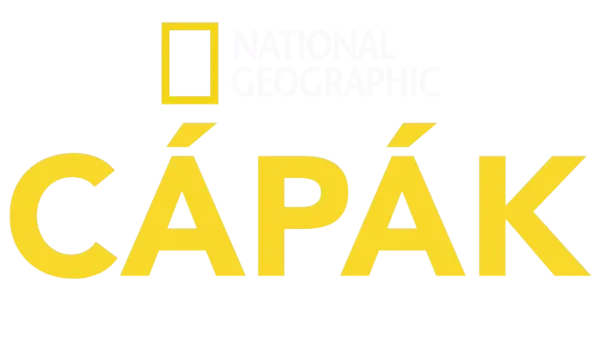 National Geographic – cápák