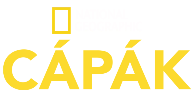 National Geographic – cápák