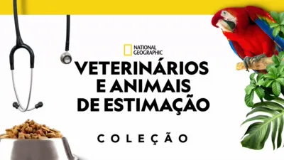 thumbnail - Veterinários e Animais de Estimação