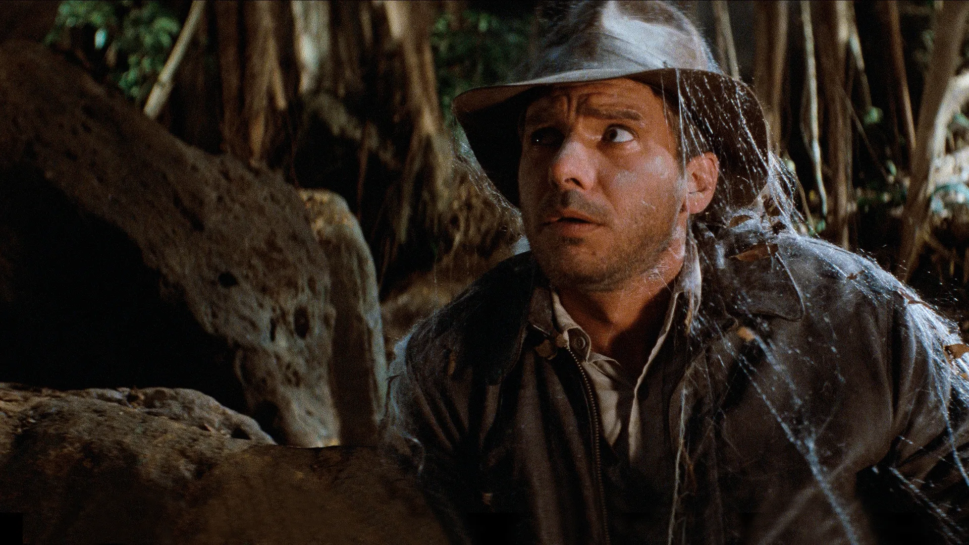 Harrison Ford in Indiana Jones™ and the Raiders of the Lost Ark