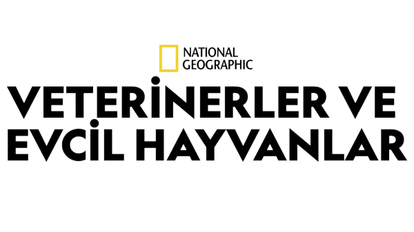 Veterinerler ve Evcil Hayvanlar