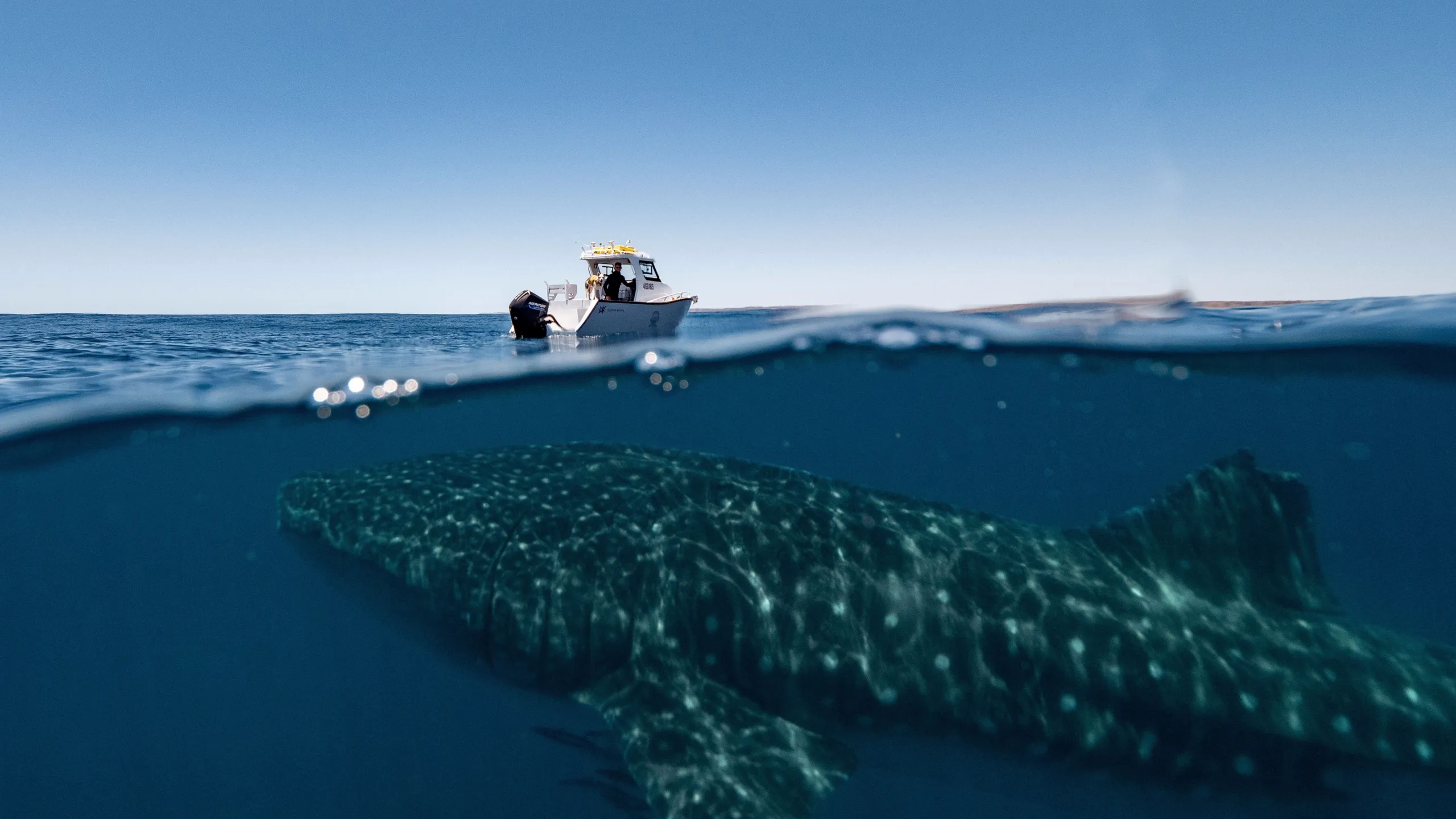 Shipwreck Hunters Australia, Disney
