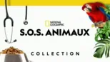 thumbnail - S.O.S. Animaux