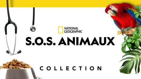 thumbnail - S.O.S. Animaux