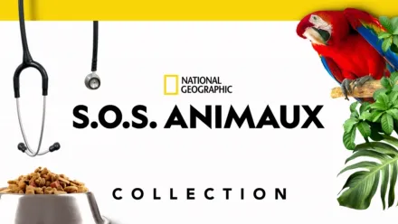 thumbnail - S.O.S. Animaux