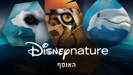 thumbnail - דיסניטבע