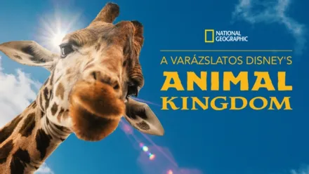 thumbnail - A varázslatos Disney's Animal Kingdom