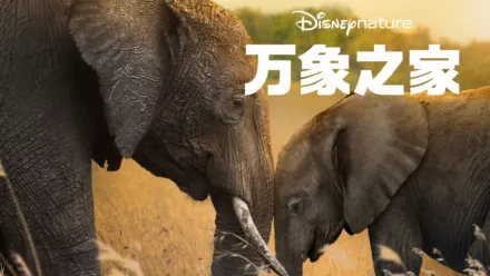 thumbnail - 万象之家