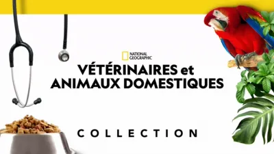thumbnail - Vétérinaires et animaux domestiques