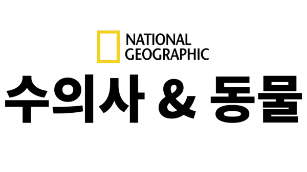 수의사 & 동물