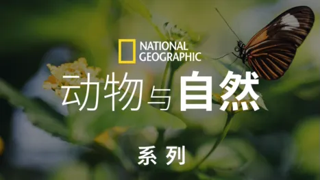 thumbnail - 国家地理<br>动物与自然