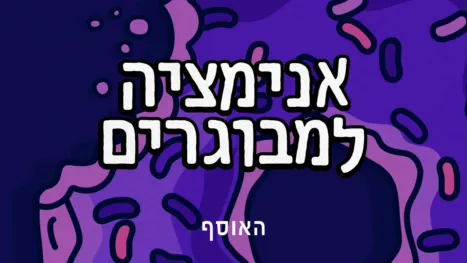 thumbnail - אנימציה למבוגרים