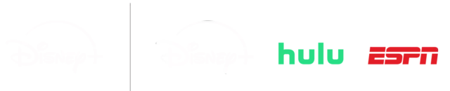 Disney+ DISNEY BUNDLE