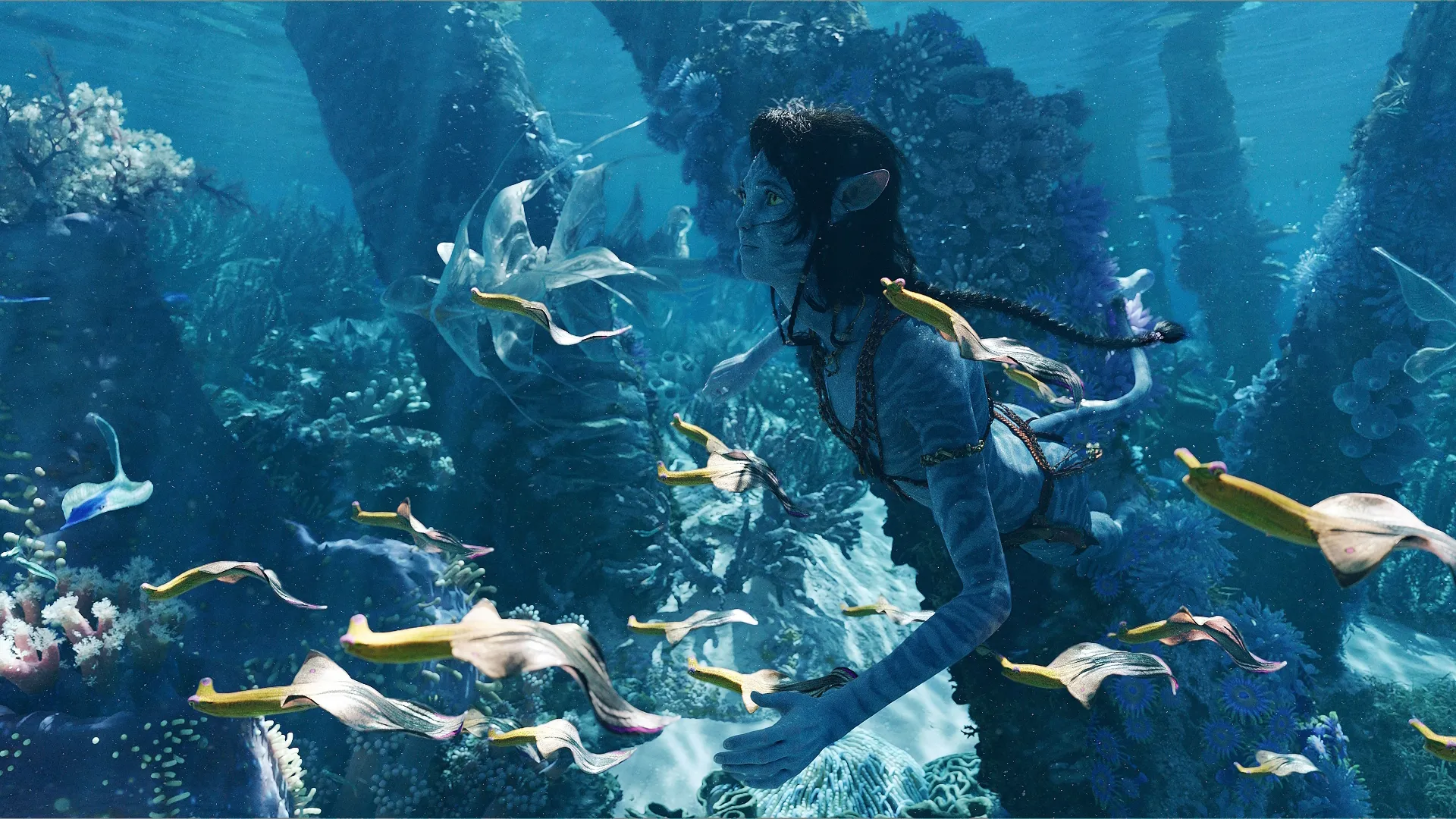 Kiri (Sigourney Weaver) swims amongst sea creatures in a reef.