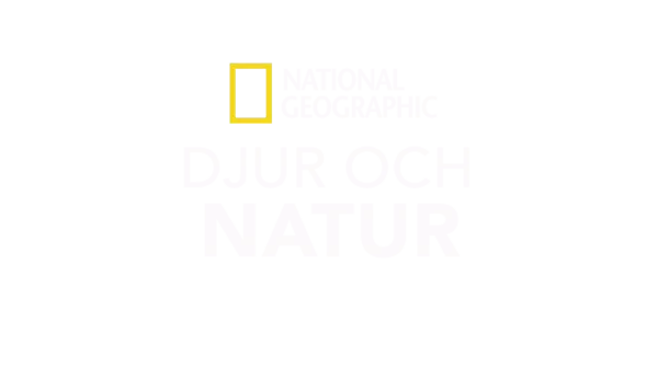 National Geographic: Djur och natur