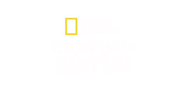 National Geographic: Djur och natur