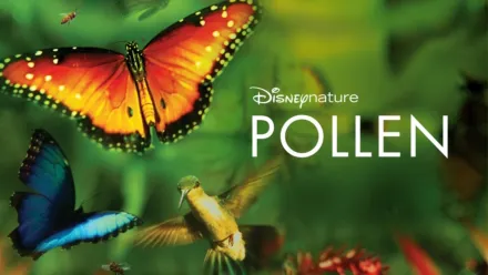 thumbnail - Pollen