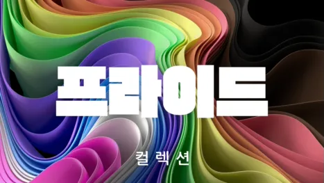 thumbnail - 프라이드