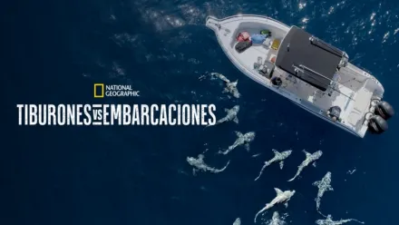 thumbnail - Tiburones vs. embarcaciones