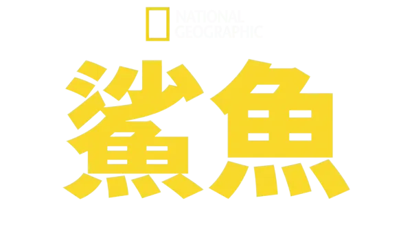 國家地理鯊魚