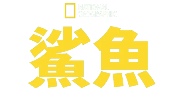 國家地理鯊魚
