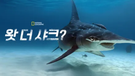 thumbnail - 왓 더 샤크?