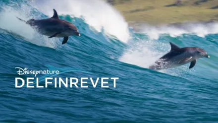 thumbnail - Disneynature: Delfinrevet