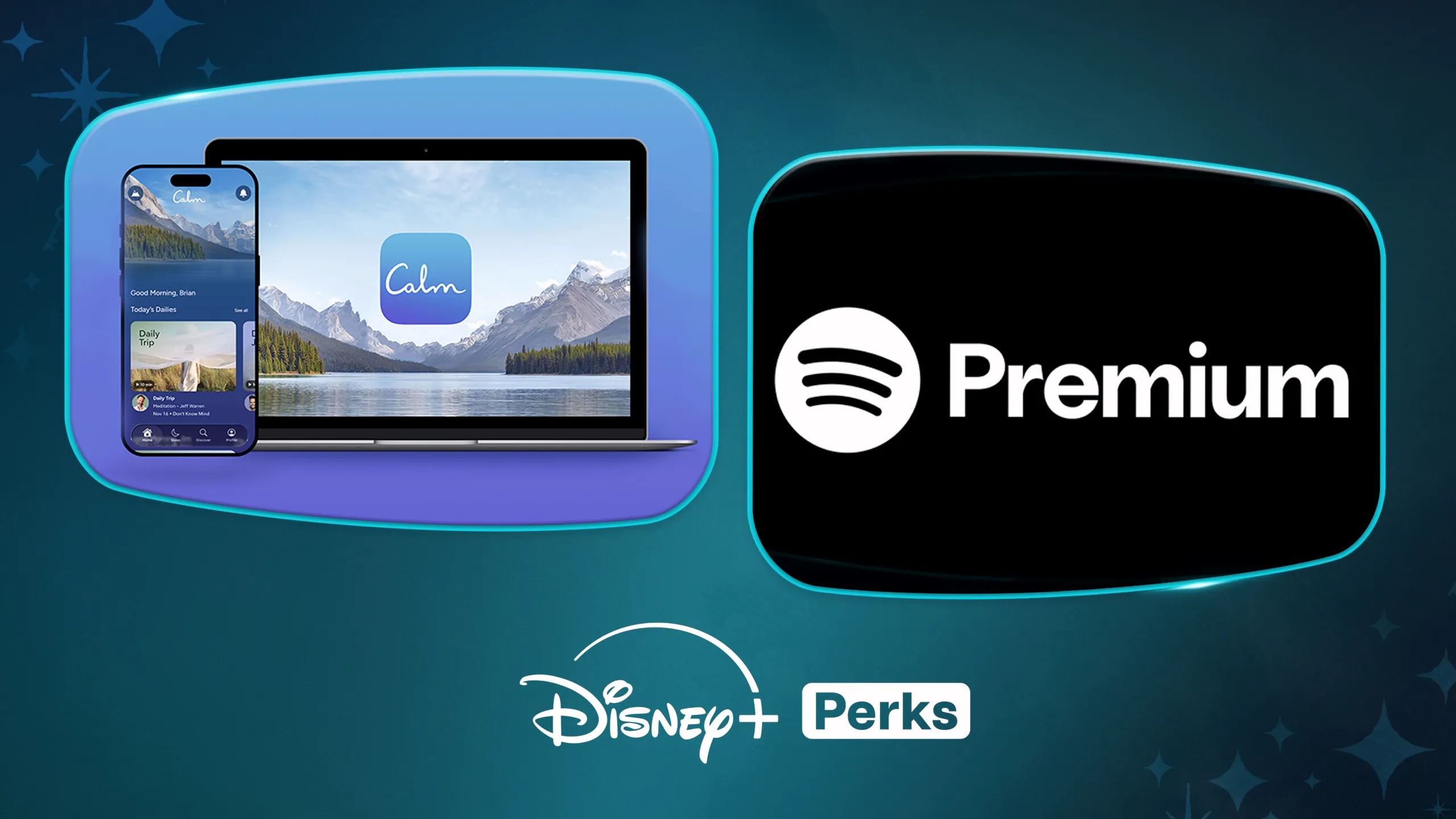 Disney+Perks Parks and Spotify