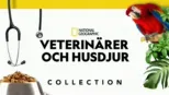 thumbnail - Veterinärer och husdjur