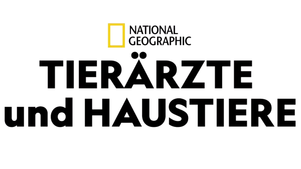 Tierärzte und Haustiere