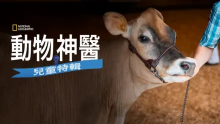 thumbnail - 動物神醫：兒童特輯