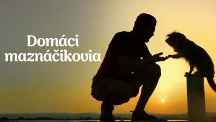 thumbnail - Domáci maznáčikovia