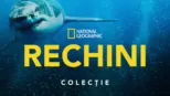 thumbnail - National Geographic  Rechini