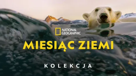thumbnail - Miesiąc Ziemi