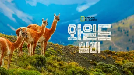 thumbnail - 와일드 칠레