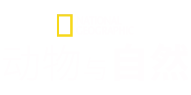 国家地理<br>动物与自然