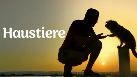 thumbnail - Haustiere