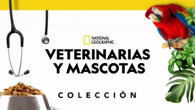 thumbnail - Veterinarias y mascotas